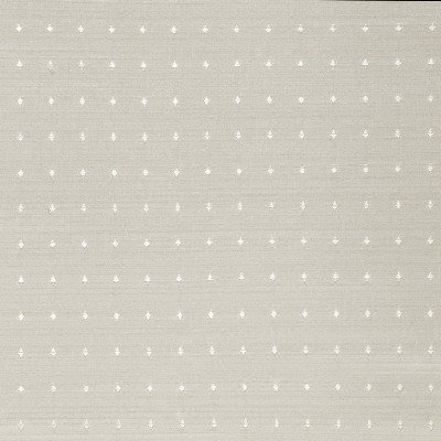 Seine Ivory