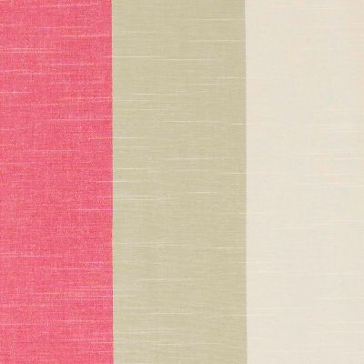 Buckton Fuschia