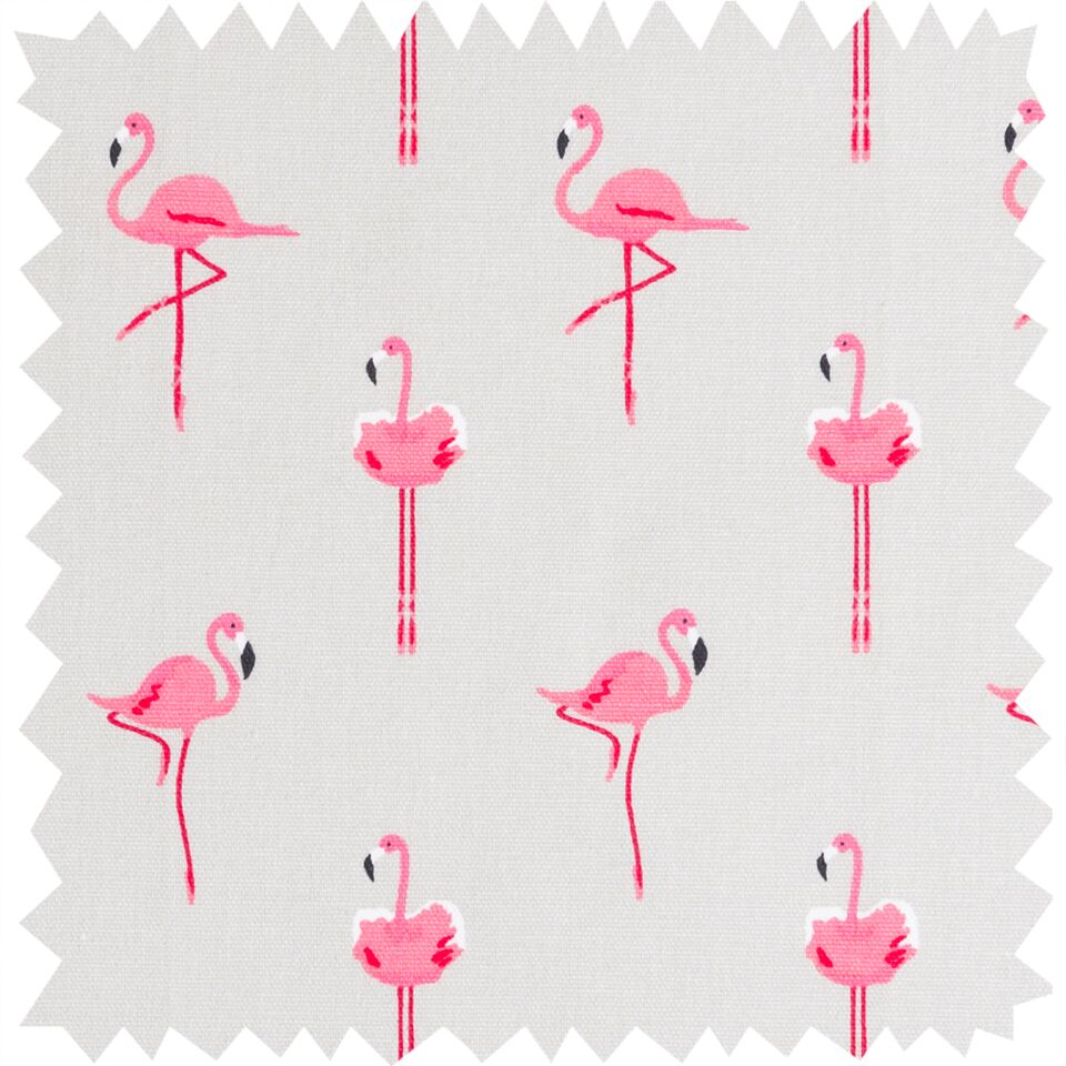 Flamingos