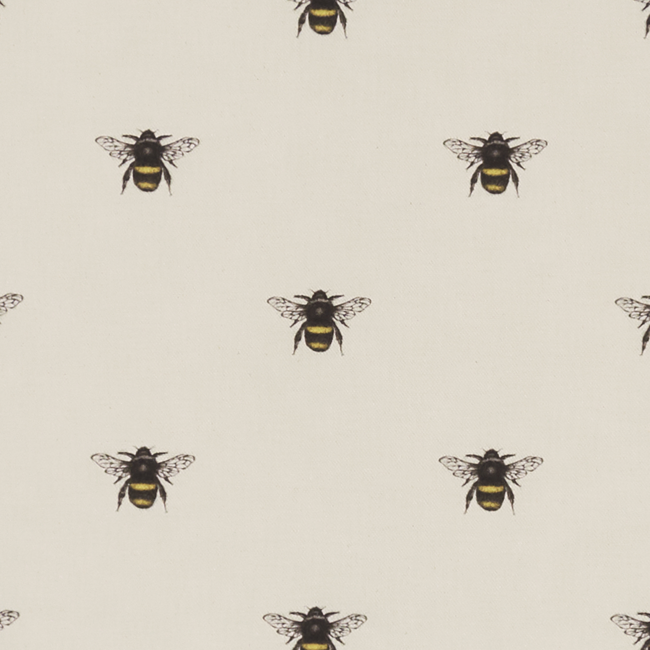 Abeja Ivory